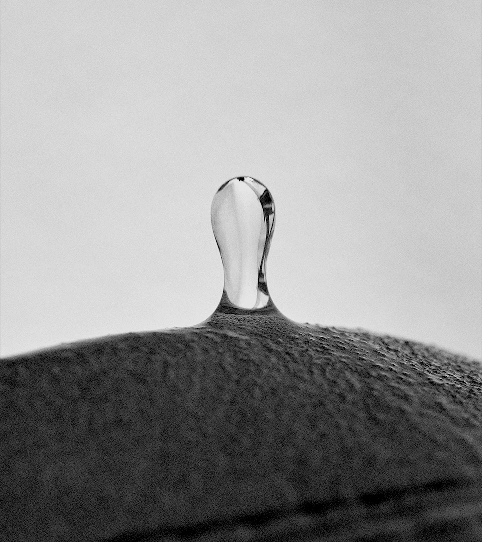 Close-up detail from the Stopirex campaign